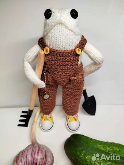 Лягушонок Альберто