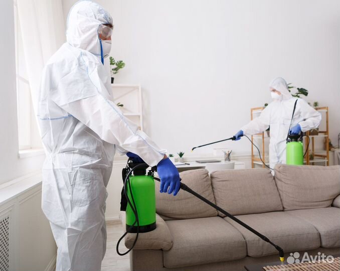 Дезинфекция помещений
