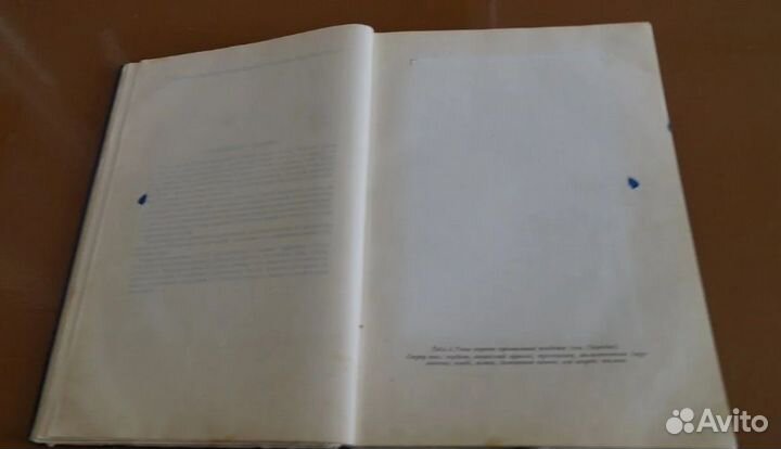 Промысловые рыбы СССР. Описания рыб 1949 год нет В