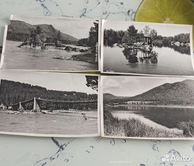 Фотографии