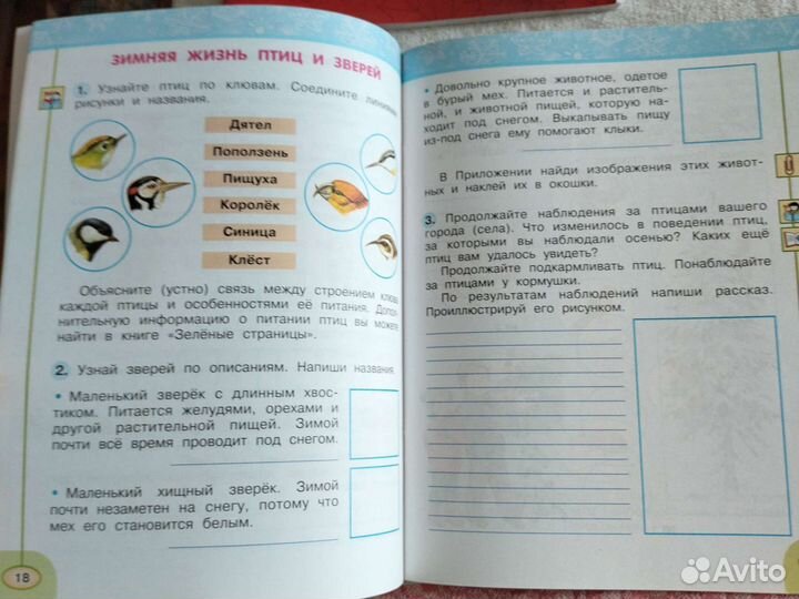 Рабочая тетрадь 2 класс. Окружающий мир