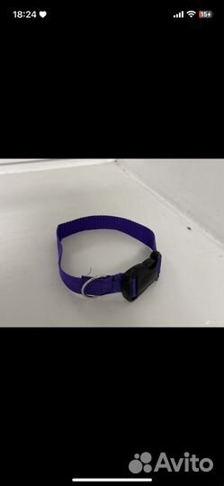 Амуниция для собак