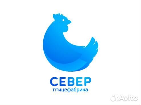 Начальник цеха кормосклада