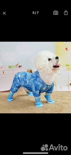 Дождевик-пыльник для маленьких собак