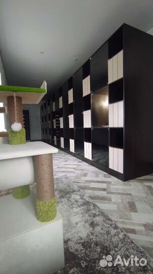 Гостиница для кошек 