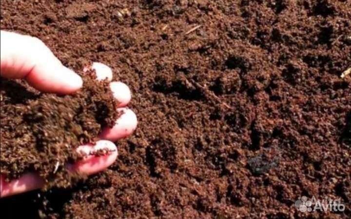 Навоз, перегной