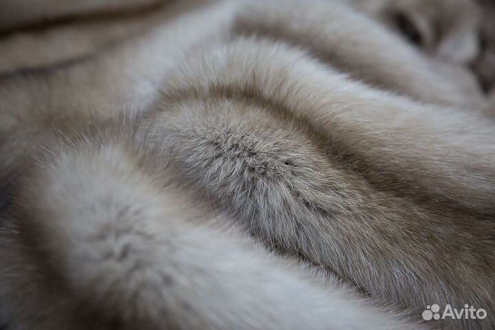 Шкурки куницы / мех куница