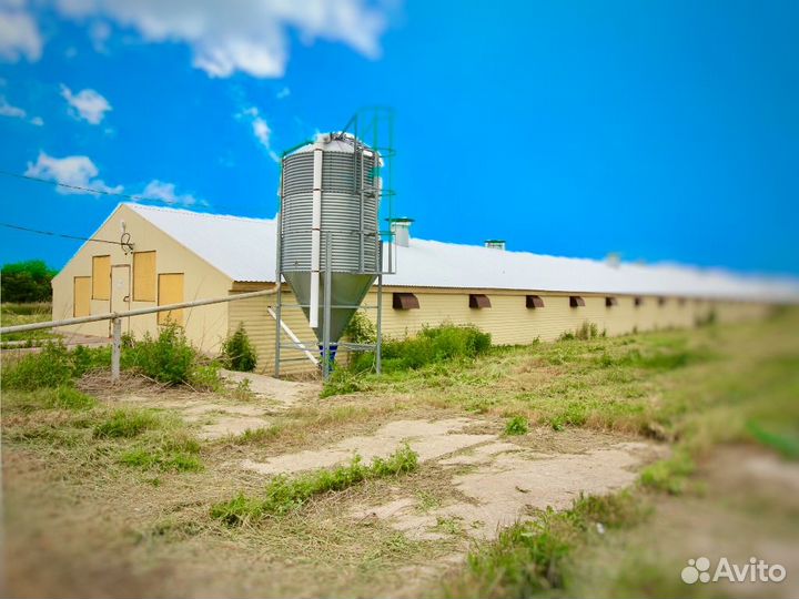 Сельхоз предприятие. 12 строений площадью 8.600м2