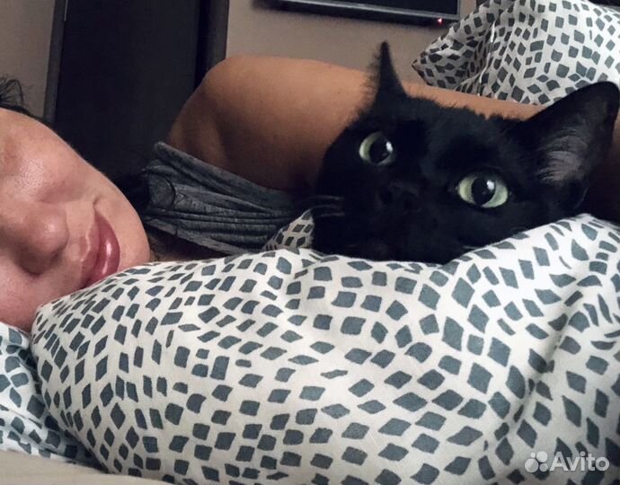 Передержка животных. Детский сад для животных