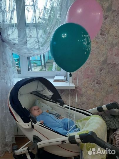 Коляска anex sport 3 в 1