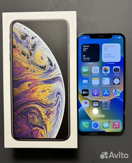 iPhone Xs Max, 256 ГБ