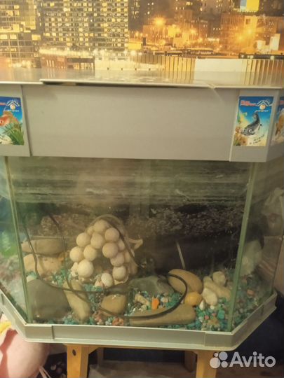 Аквариум