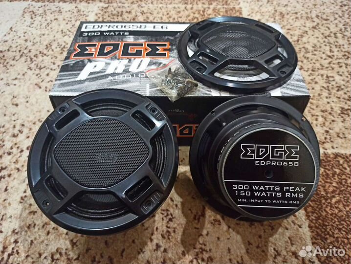 Динамики эстрадные новые