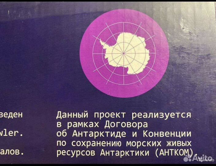 Ледяная рыба