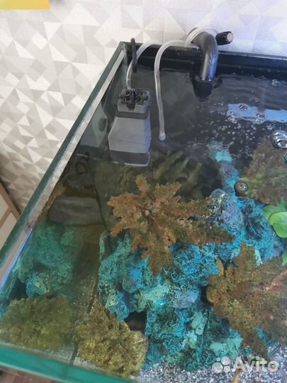 Продам аквариум 100 л со всем-всем-всем
