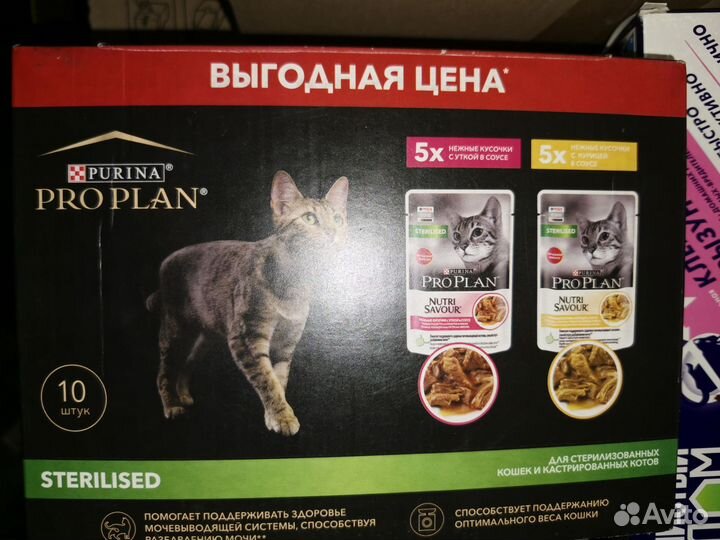 ProPlan мокрый корм для кошек в ассортименте