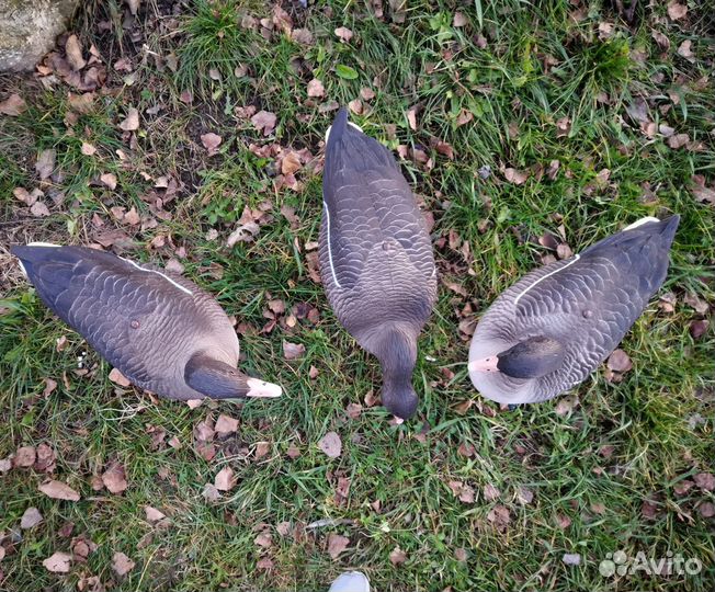 Чучела серого гуся Soft Plast Alfa