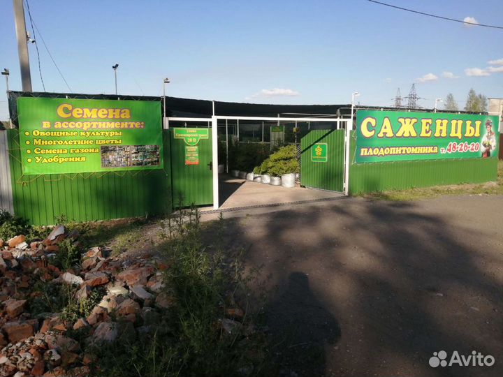 Саженцы на Красноярском тракте