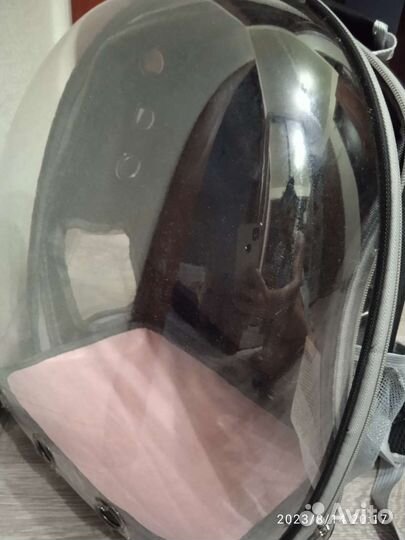 Переноска для кошек