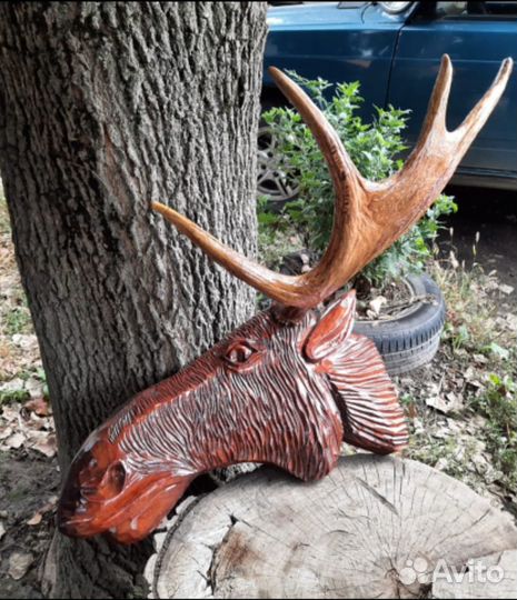 Продам рога лося