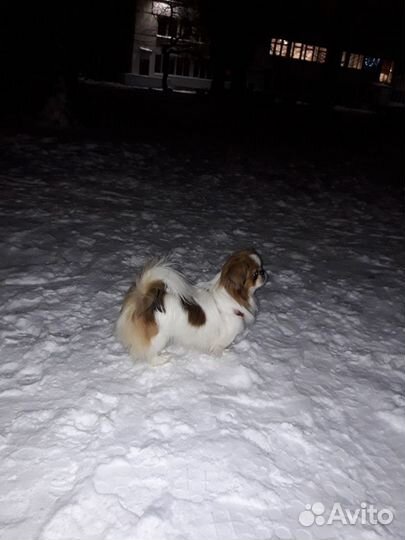 Девочка вязка