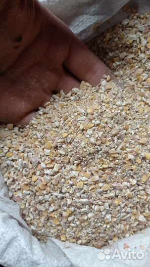 Пшеница, отходы пшеницы, кукуруза