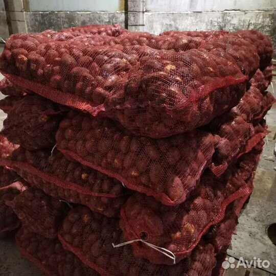 Продам картофель с доставкой