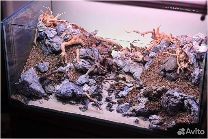 Коряги для аквариума,композиции,бонсай