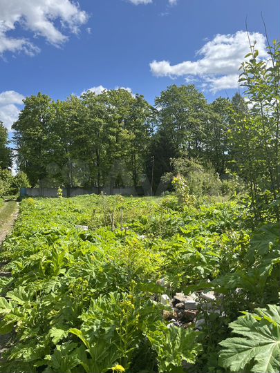 Участок 14,2 сот. (ИЖС)