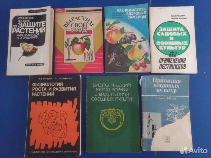 Физиология растений прививки саженцы защита