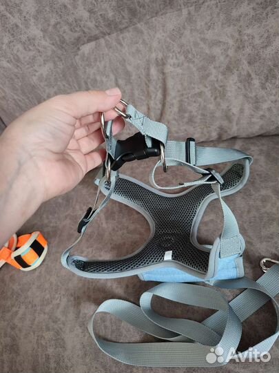 Шлейка для собак