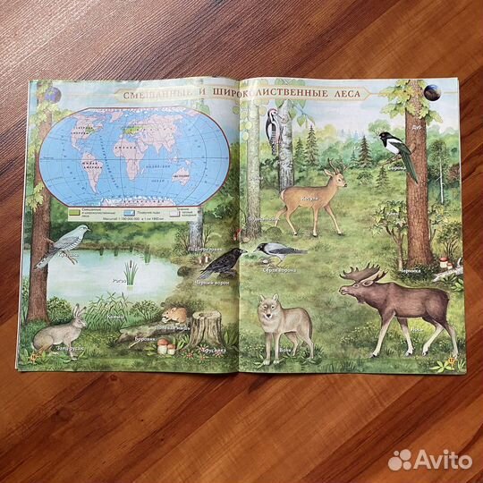 Атлас природоведение (5й класс)