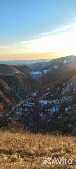 Охота на кабана,косулю,утку,гуся