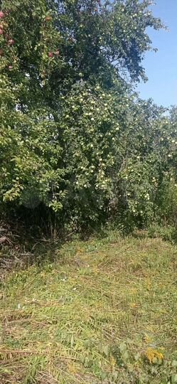 Участок 4 сот. (СНТ, ДНП)