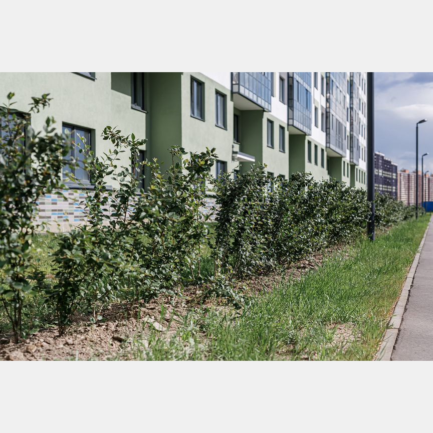 3-к. квартира, 58 м², 2/15 эт.