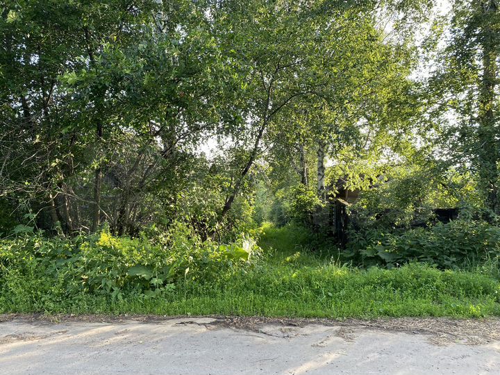 Участок 30 сот. (ИЖС)