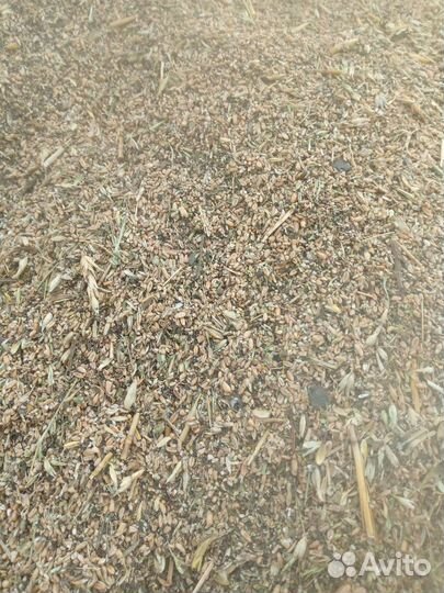 Зерноотходы