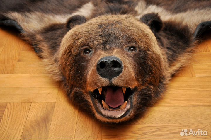 Шкура медведя имитация с головой