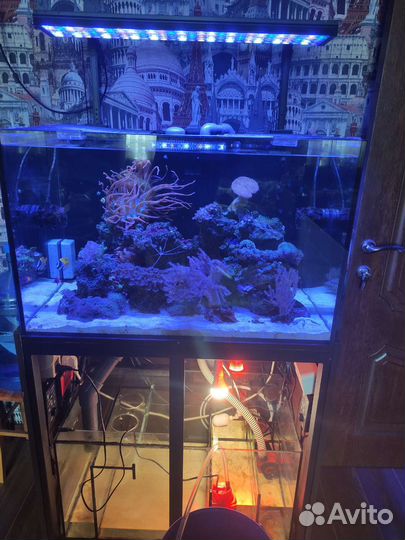 Аквариум на заказ