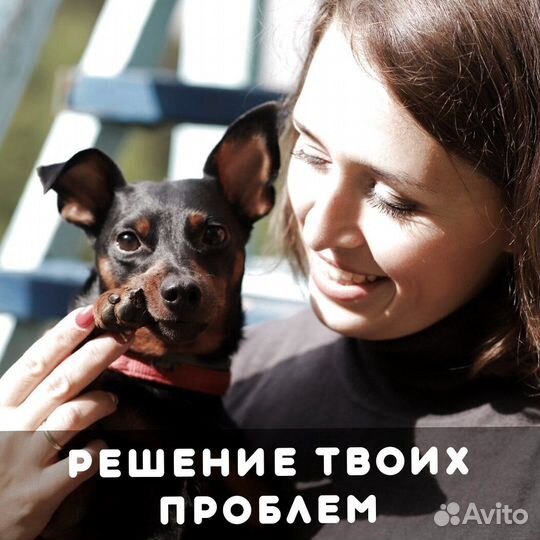 Воспитание собак, кинолог, дрессировка