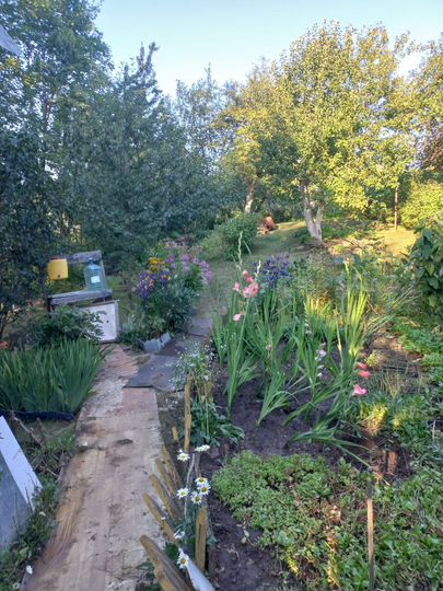 Дача 37,8 м² на участке 8 сот.