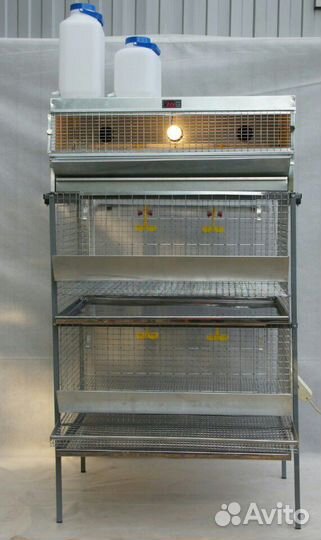 Куриная мини ферма с цифровым терморегулятором