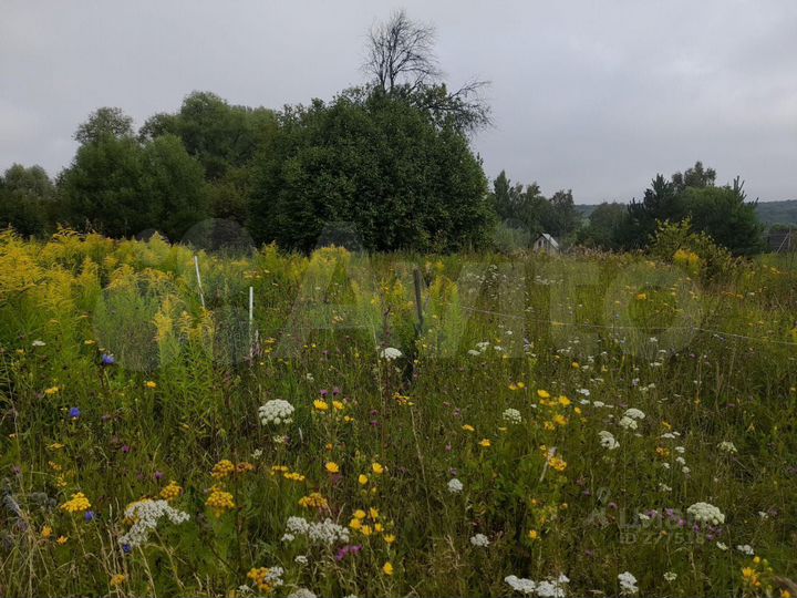 Участок 31,2 сот. (ИЖС)