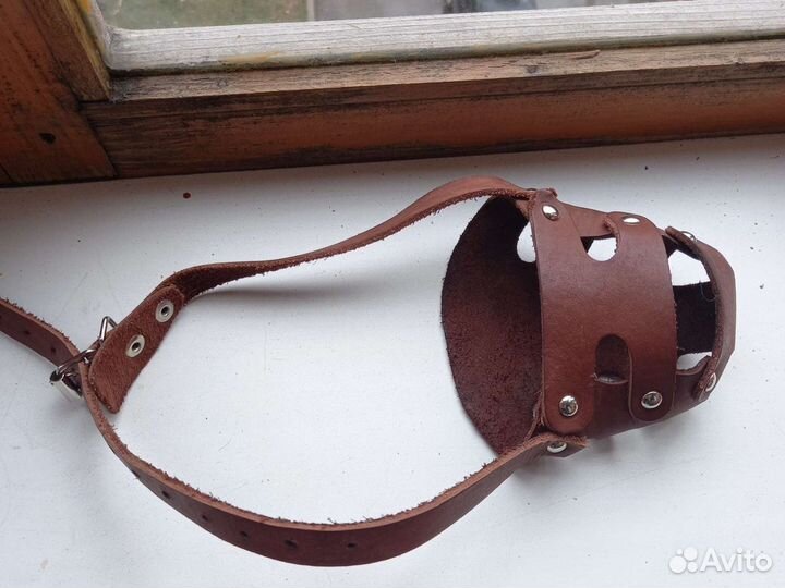 Товары для животных