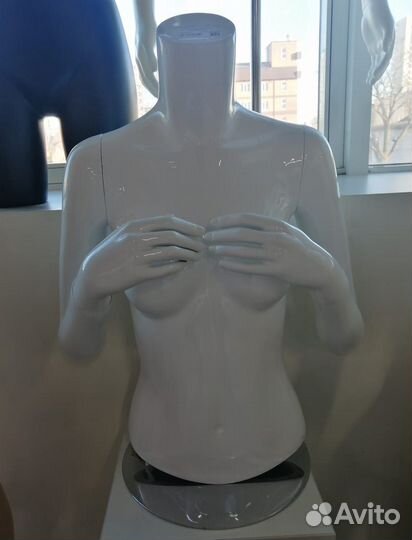 Манекены (торсы)