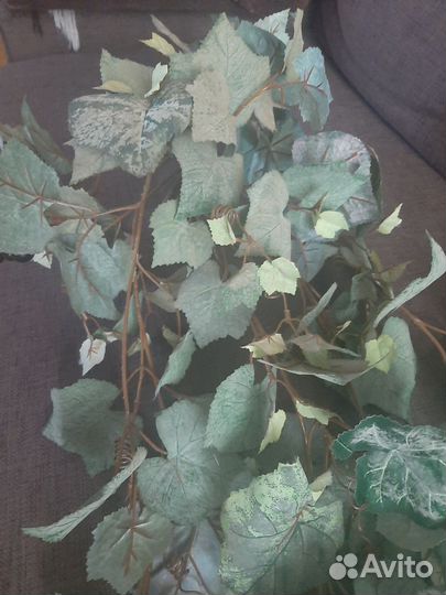 Искусственная ветвь дикого виногдада