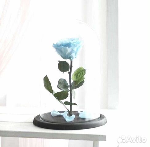 Неувядающая роза в колбе