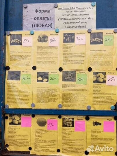 Семенной картофель