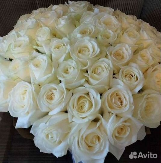 Высокие розы Гигантские розы с доставкой