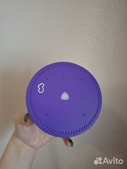 Алиса лайт фиолетовая